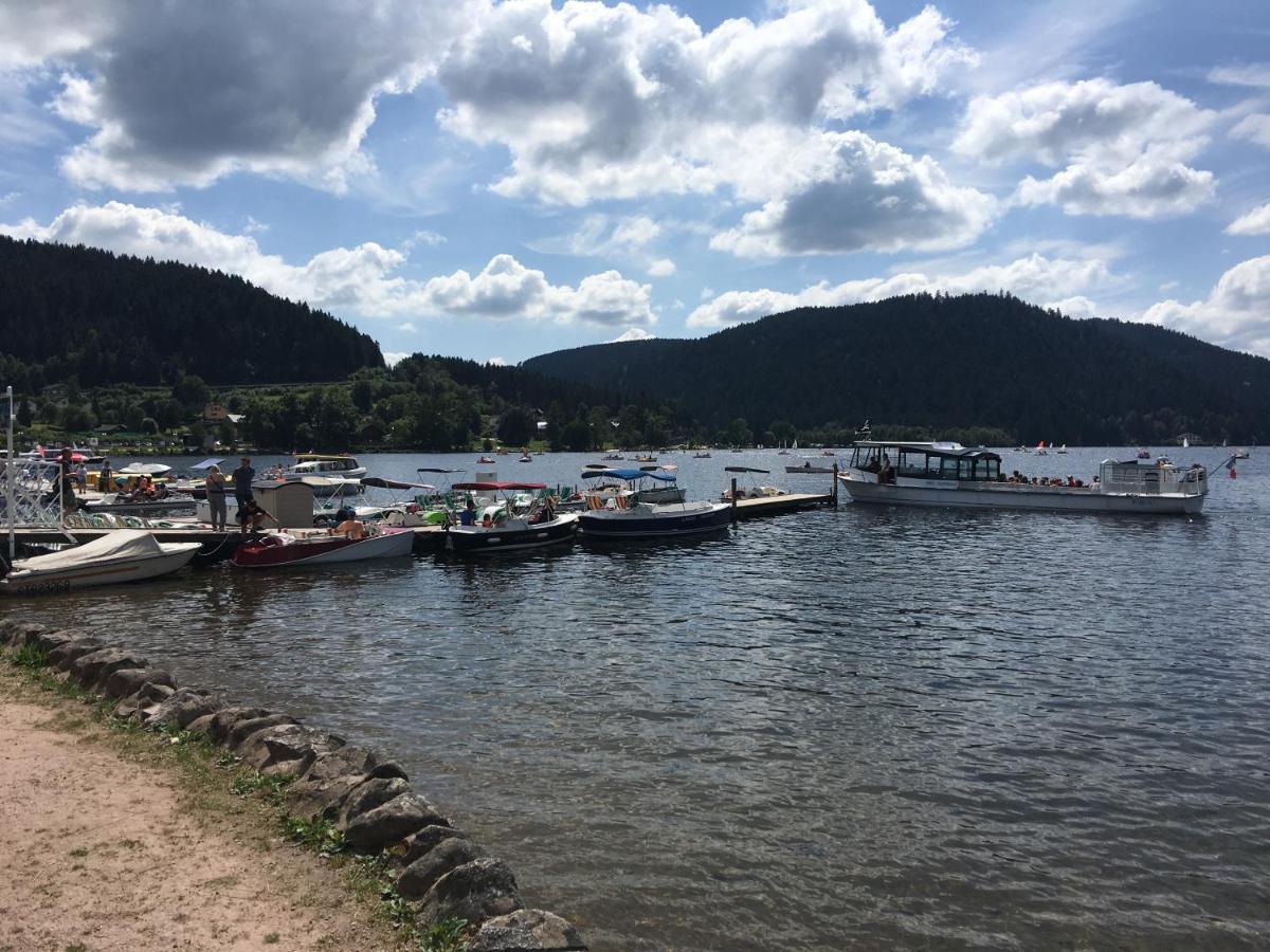 Gite Les Dryades Gérardmer Exterior foto